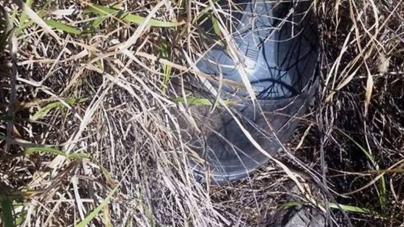 Encontraron una moto oculta entre la maleza