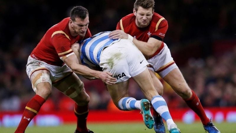 El test match de Los Pumas con Gales, por TV