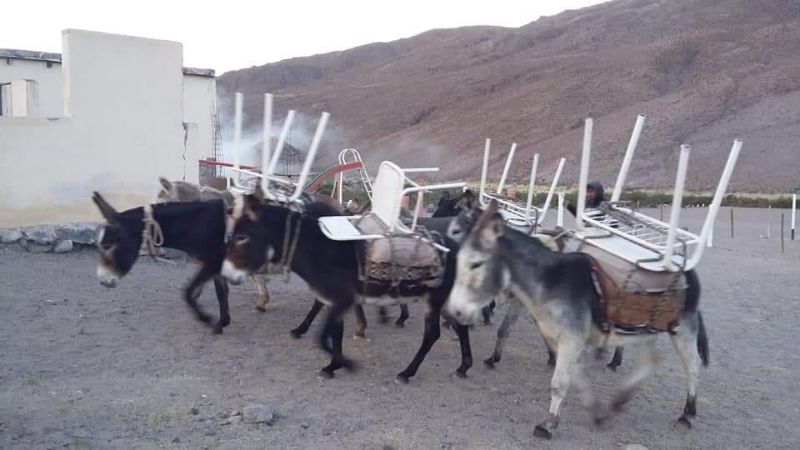 Padres llevan mobiliarios en burros para que sus hijos puedan estudiar