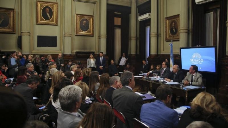 Comienza el debate por la despenalización del aborto en el Senado