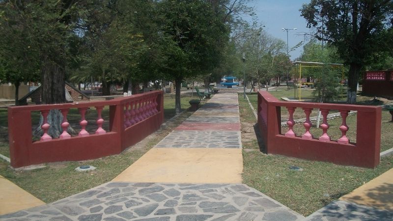 Arrestan a un joven que se escondía detrás de los árboles