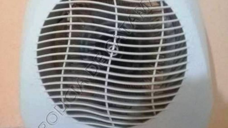 Continúan recuperando elementos robados en Capayán