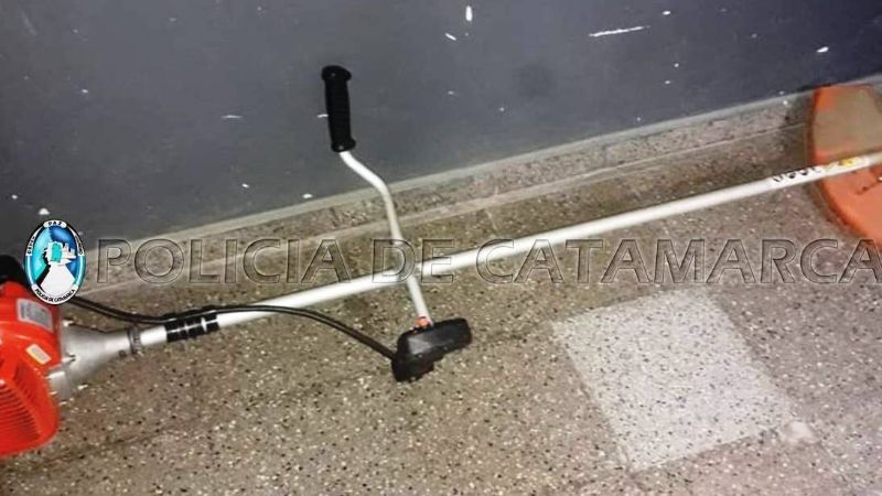 Una joven mujer y un hombre aprehendidos por golpear a policías