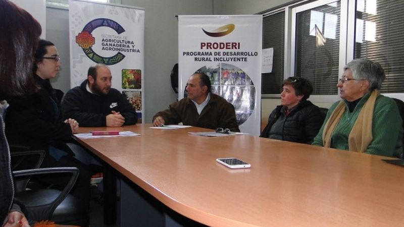 "Arañitas Hilanderas" recibió $500.000