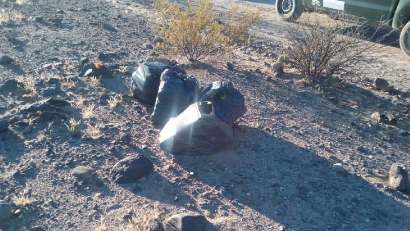 Gendarmería secuestró 100 kilos de hojas de coca y 1000 paquetes de cigarros