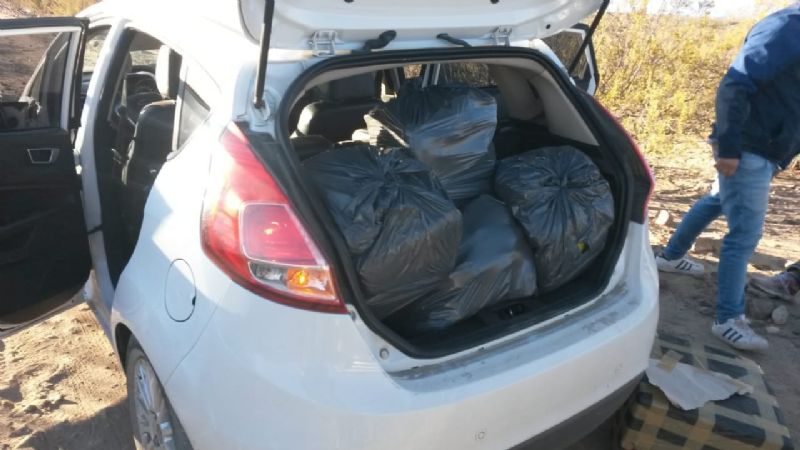 Gendarmería secuestró 100 kilos de hojas de coca y 1000 paquetes de cigarros