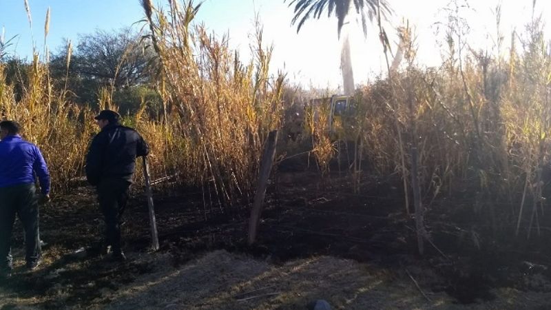 Combaten incendio de pastizales