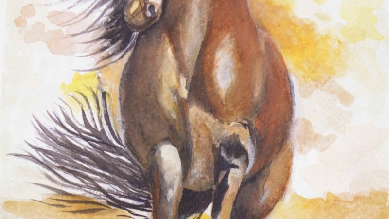 Silvia Tomassi presenta sus obras en el Poncho