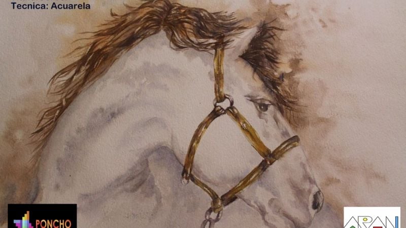 Silvia Tomassi presenta sus obras en el Poncho