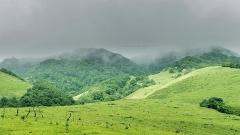 Encontraron muerto a un joven desaparecido
