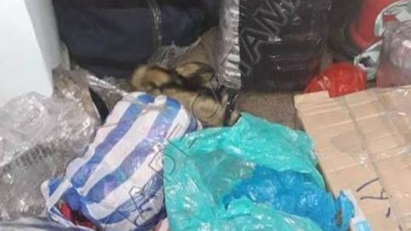 Secuestran mercadería ilegal por 250 mil pesos y aprehenden a dos personas