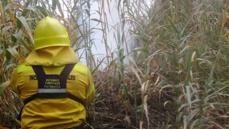 Brigadistas apagaron dos incendios intencionales