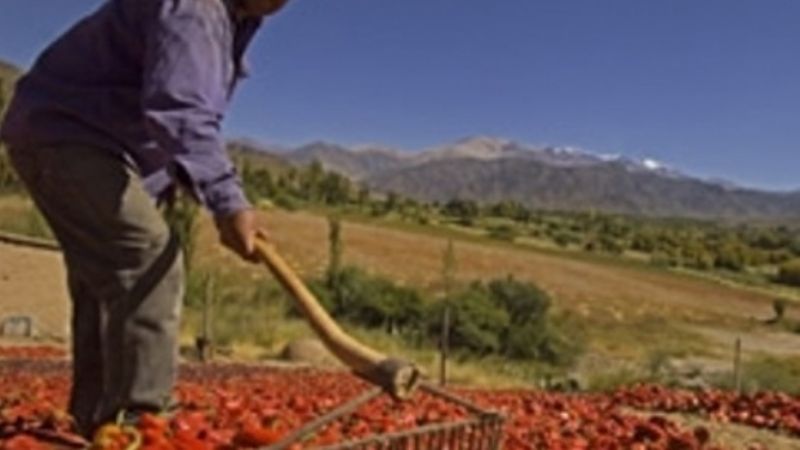 Casi todas las economías regionales presentan signos de crisis