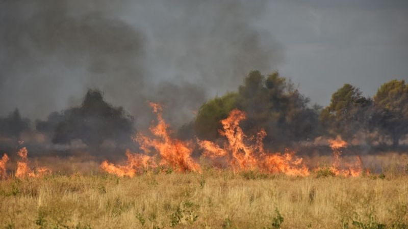Incendio de pastizales en Santa María