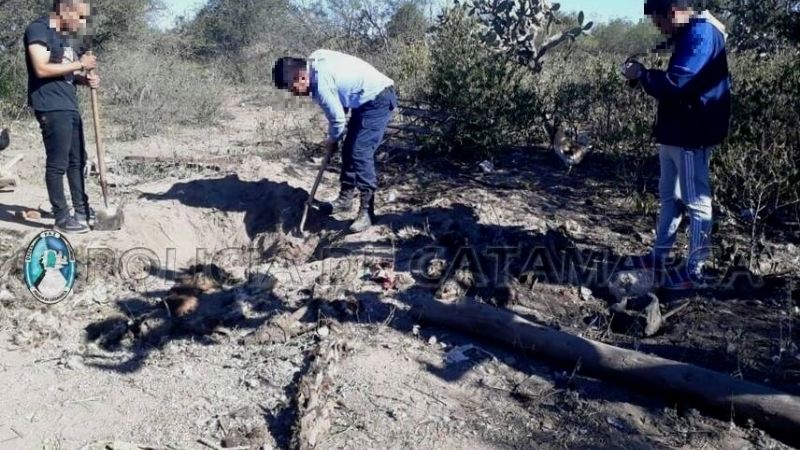 Robaron 60 animales, los faenaron y los vendieron