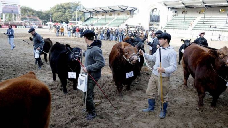 El consumidor paga un 24,5% de impuestos en el precio de la carne