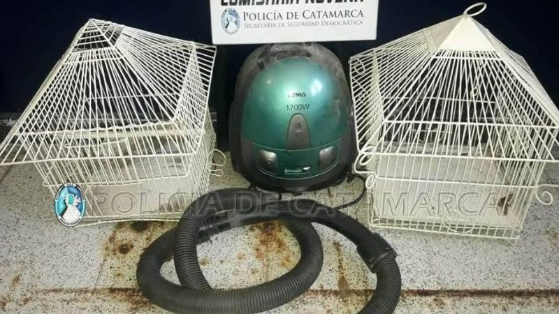 Recuperan dos jaulas y una aspiradora
