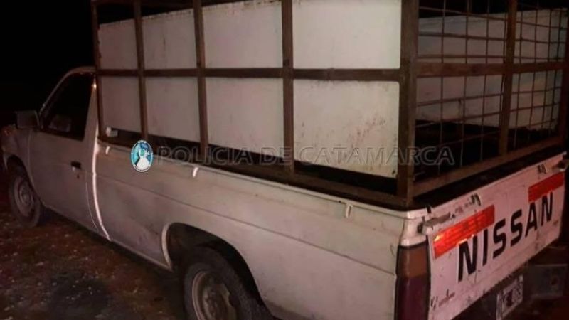 Secuestran vehículos y decomisan carne de cerdo