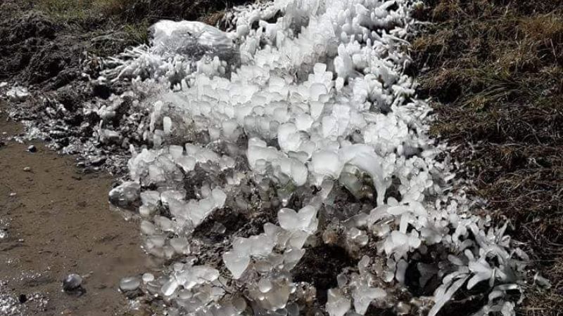 Mañanas con temperaturas bajo cero, heladas “blancas” y “negras”