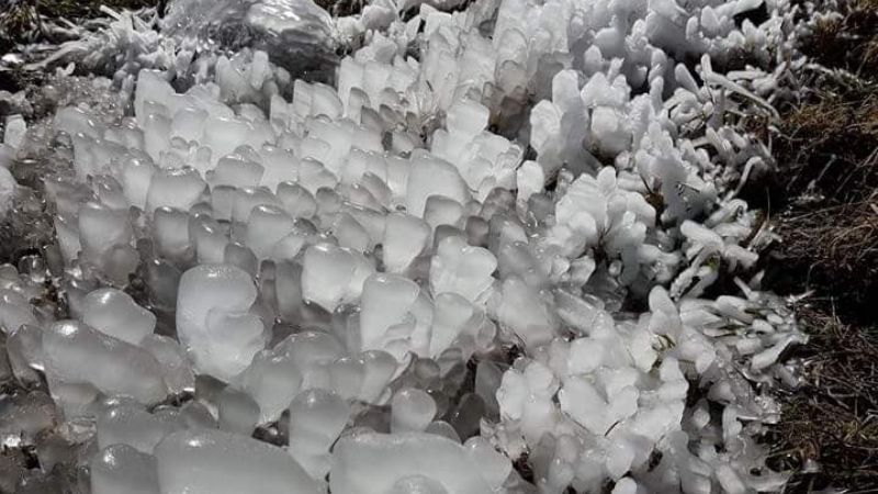 Mañanas con temperaturas bajo cero, heladas “blancas” y “negras”