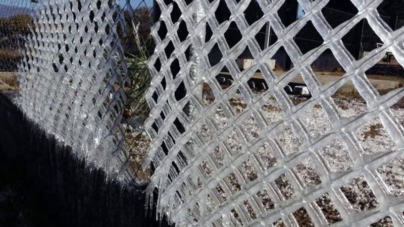 Las heladas no dan tregua