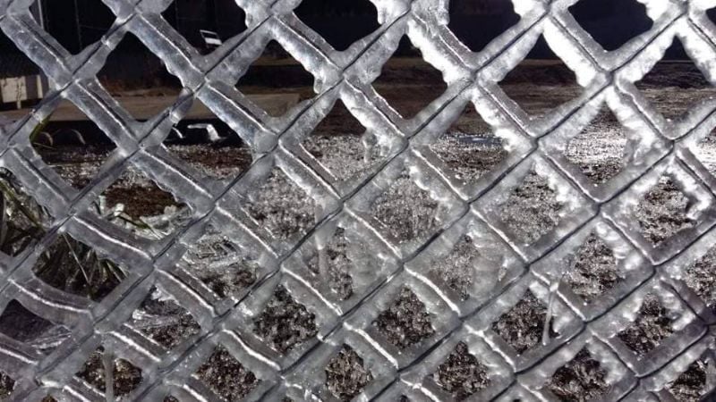 Las heladas no dan tregua