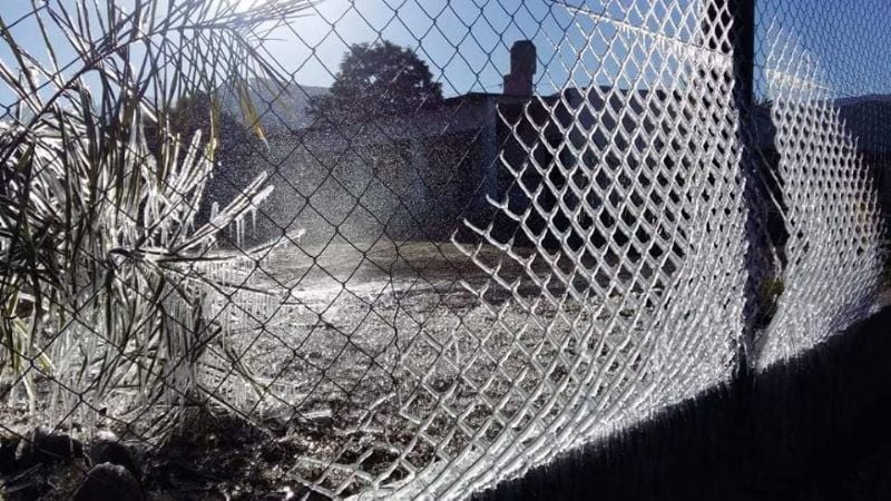 Las heladas no dan tregua