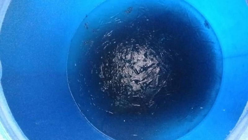 Algunos registros de una mañana helada