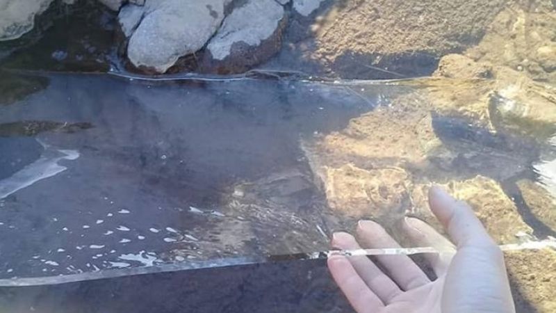 Algunos registros de una mañana helada