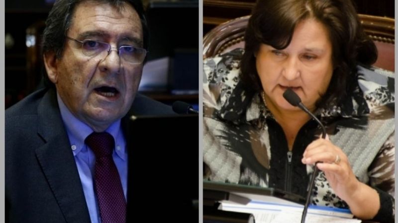 Pedirán reunirse con Blas y Castillo por el aborto legal