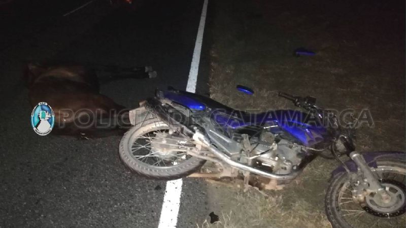 Motociclista herido tras impactar contra un caballo en la ruta 33
