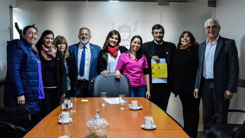Profesionales en Psicomotricidad se reunieron con Senadores