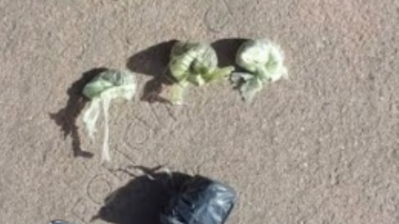 Arrestan a un joven y secuestran droga