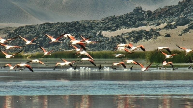 ¿Qué lugares de Catamarca compiten para ser una de las 7 Maravillas?
