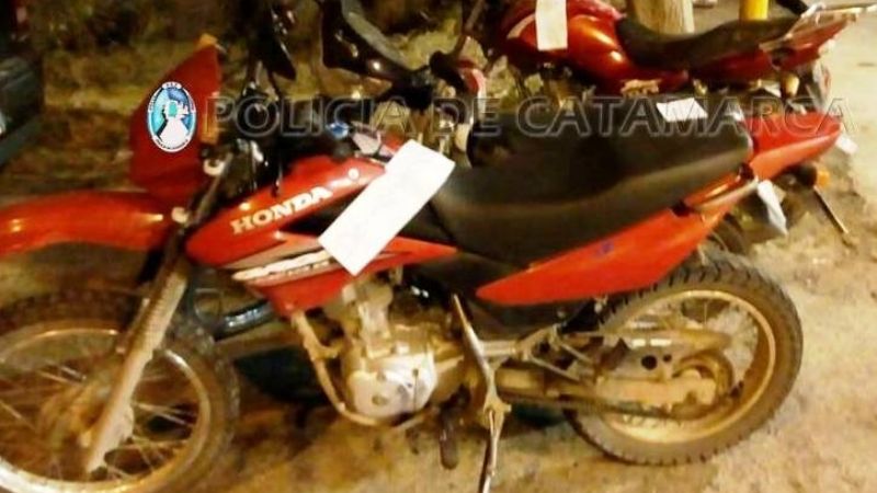 Secuestran 35 vehículos en puestos camineros