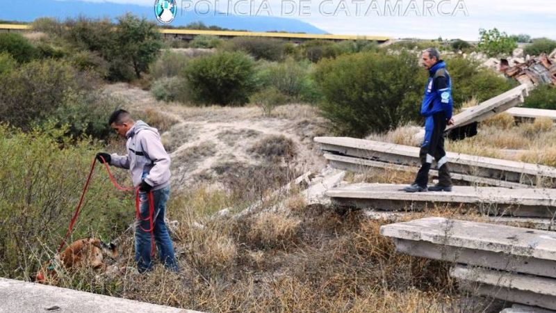 Seminario de capacitación para la División Canes de la Policía
