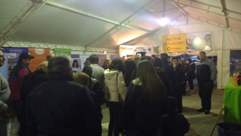 Interesantes propuestas para la “Semana de la Nuez y la Aceituna”