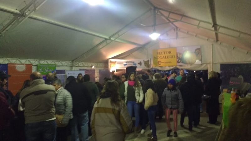 Interesantes propuestas para la “Semana de la Nuez y la Aceituna”