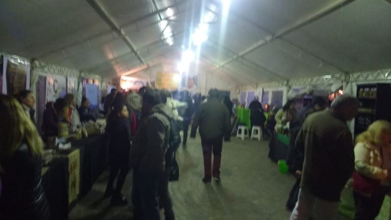 Interesantes propuestas para la “Semana de la Nuez y la Aceituna”