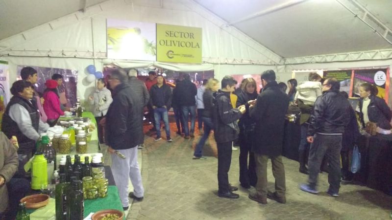 Interesantes propuestas para la “Semana de la Nuez y la Aceituna”