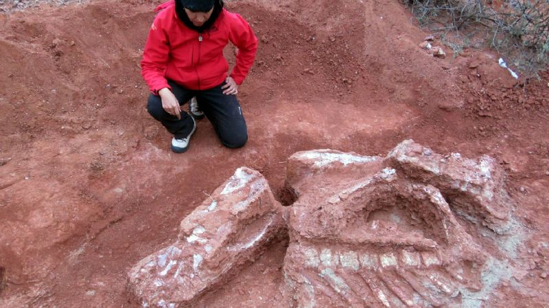 Descubren la especie de dinosaurio gigante más antigua que habitó la Tierra