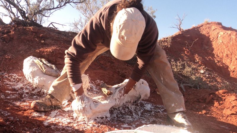 Descubren la especie de dinosaurio gigante más antigua que habitó la Tierra