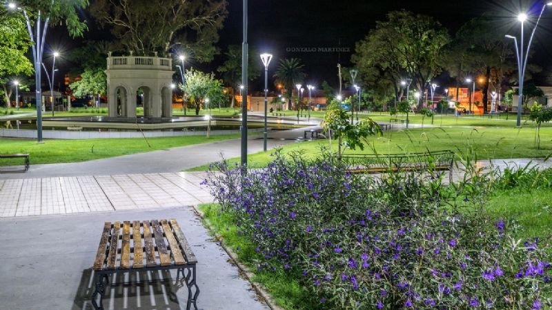 Encontraron perros muertos en La Alameda