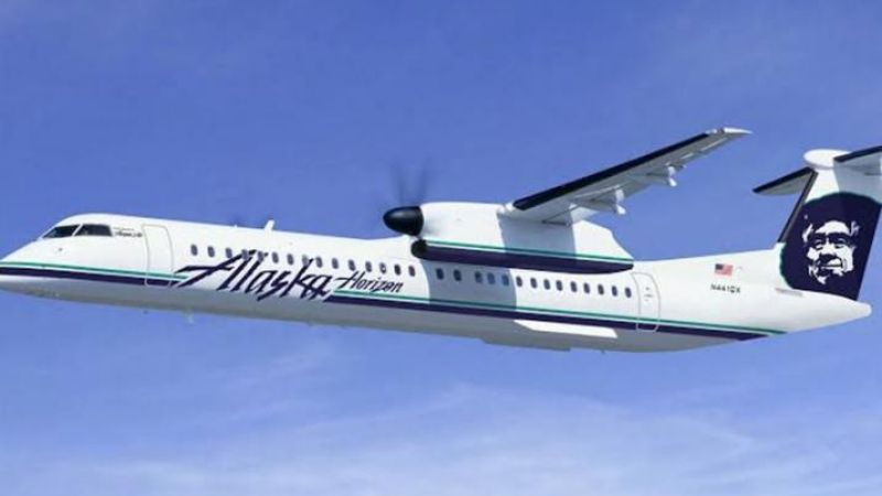 Se roba un avión, lo hace despegar y se estrella