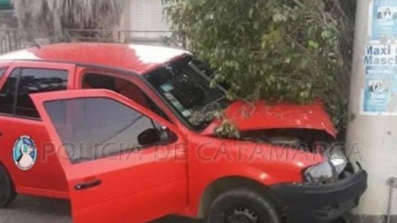 Chocó contra un árbol y un poste de luz