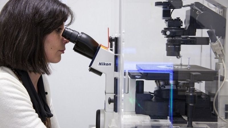 El estrés deja huellas que el bebé hereda en el embarazo