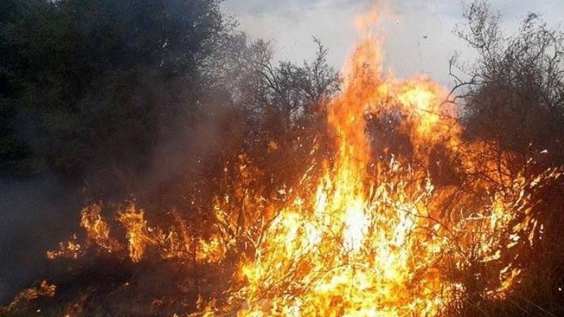 Incendio de pastizales en Valle Viejo