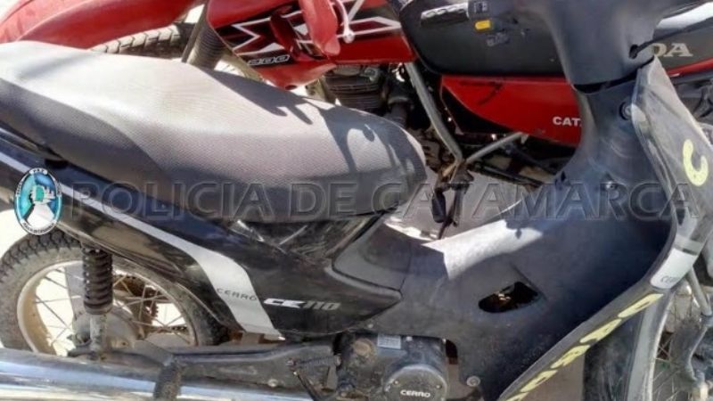 Detenidos por robarle el caballo a una abuela