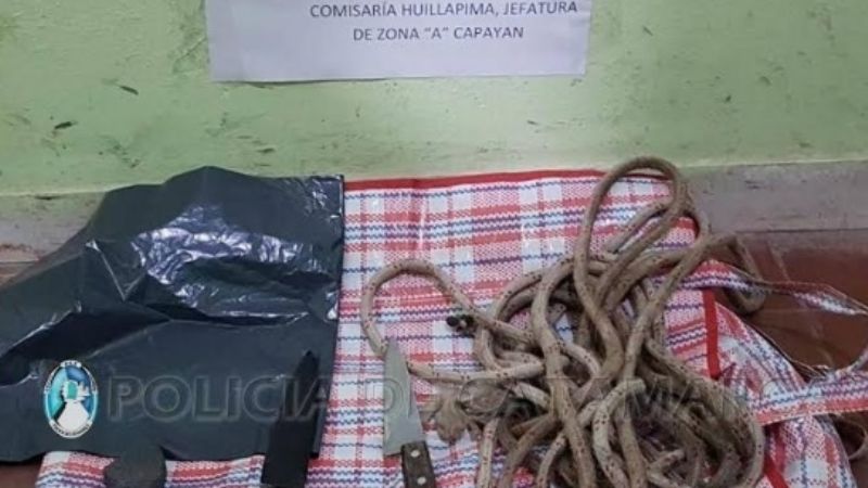 Detenidos por robarle el caballo a una abuela