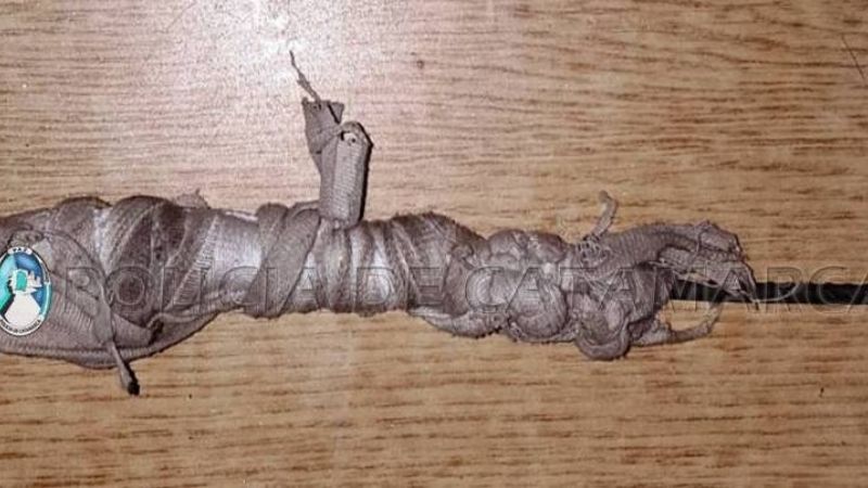 Quedó abandonado en un arrebato y apuñaló a un policía